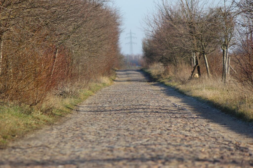 扇風機を効果的に使用する方法とは？