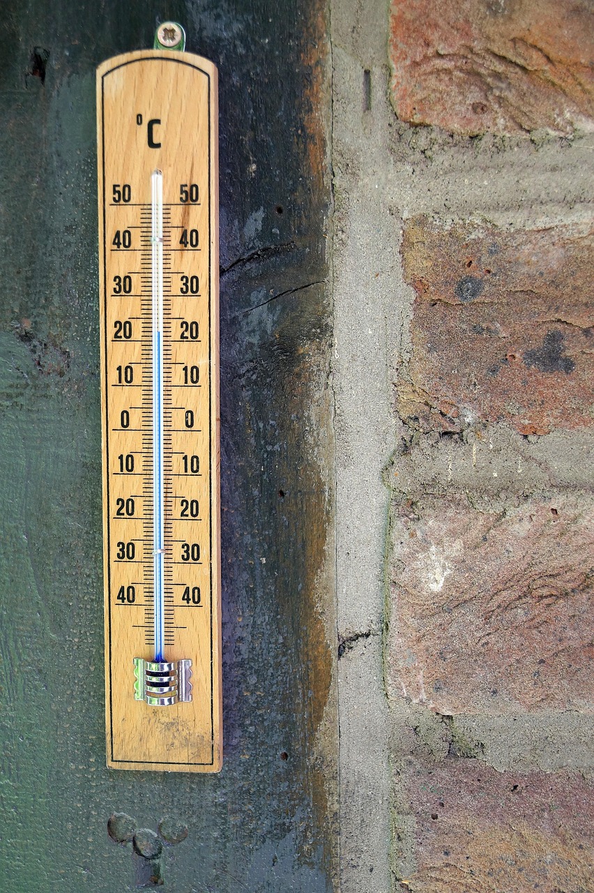 部屋の温度計アプリで最適な室温を管理する方法は？