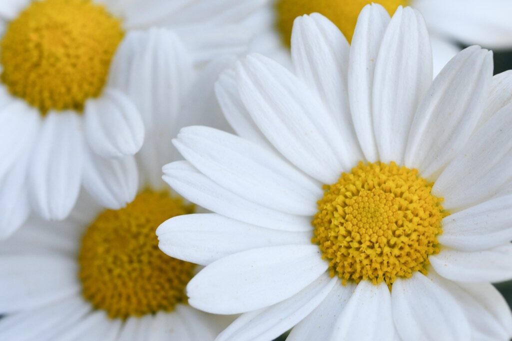 つっぱりロールスクリーンを使った夏の快適な過ごし方は？