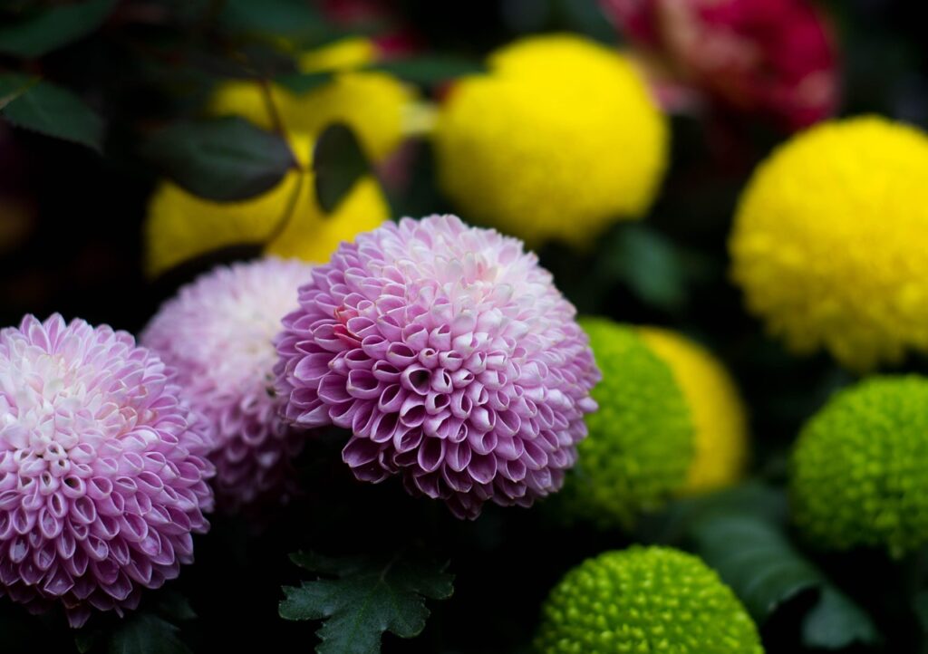 ハニカムスクリーンで実現する省エネ効果とは？