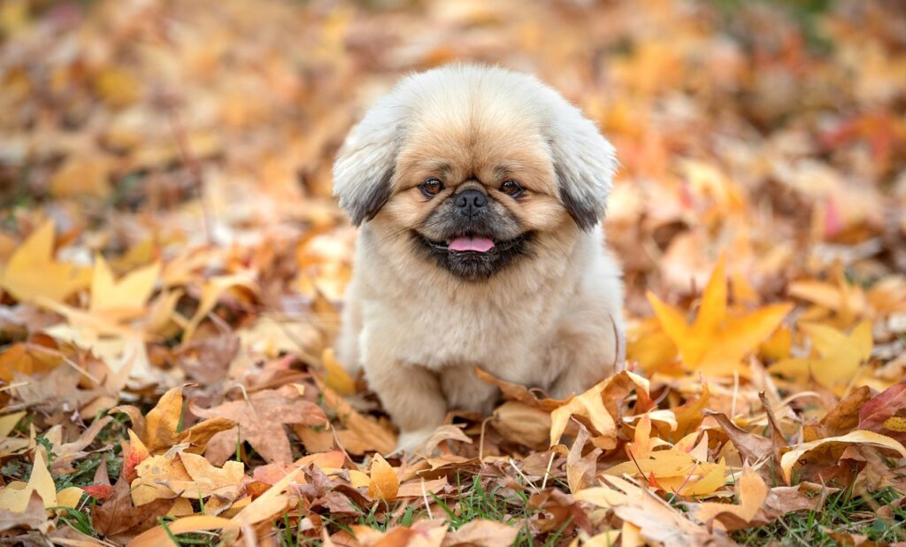 冷却ベストのおすすめで安い商品はどれですか？