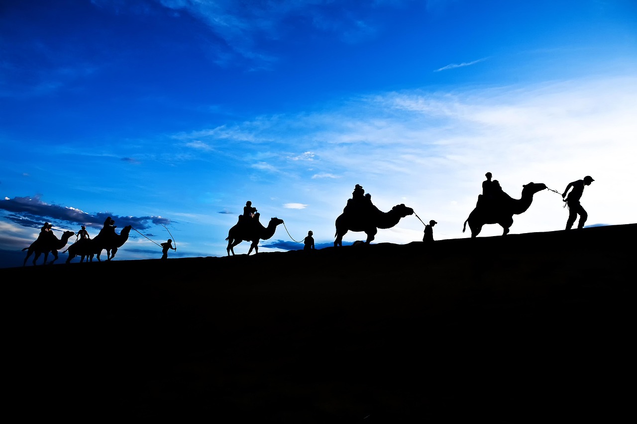 暑さ指数の予報を取得する方法は？