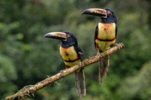 扇風機の羽根なしタイプは本当に効果的なのか？