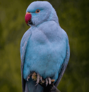 ネッククーラーの比較で2025年のおすすめは？