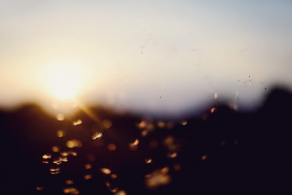 在宅ワークにおける室外機の直射日光による暑さの影響は？