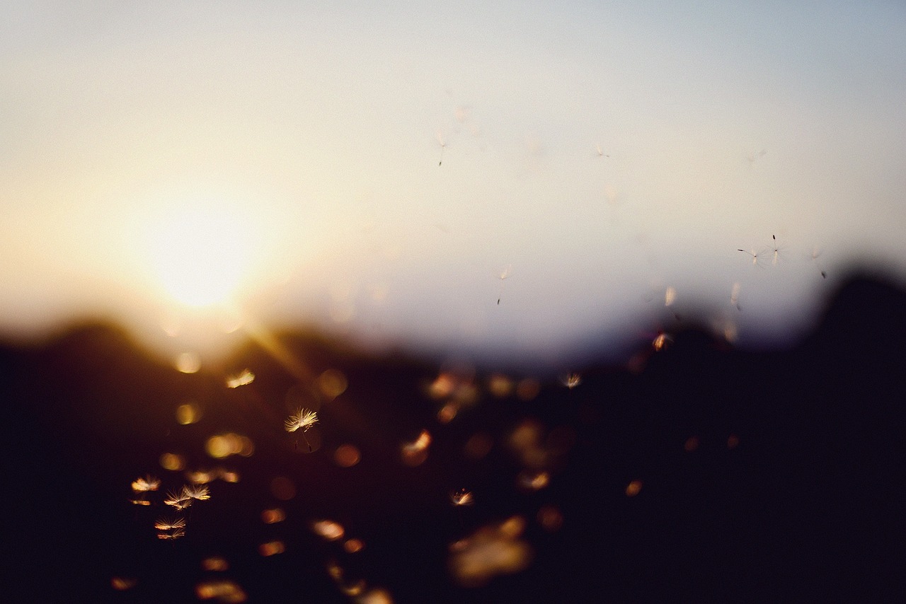 在宅ワークにおける室外機の直射日光による暑さの影響は？