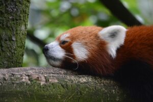 在宅ワーク中の暑さ対策に最適な冷却スカーフは？