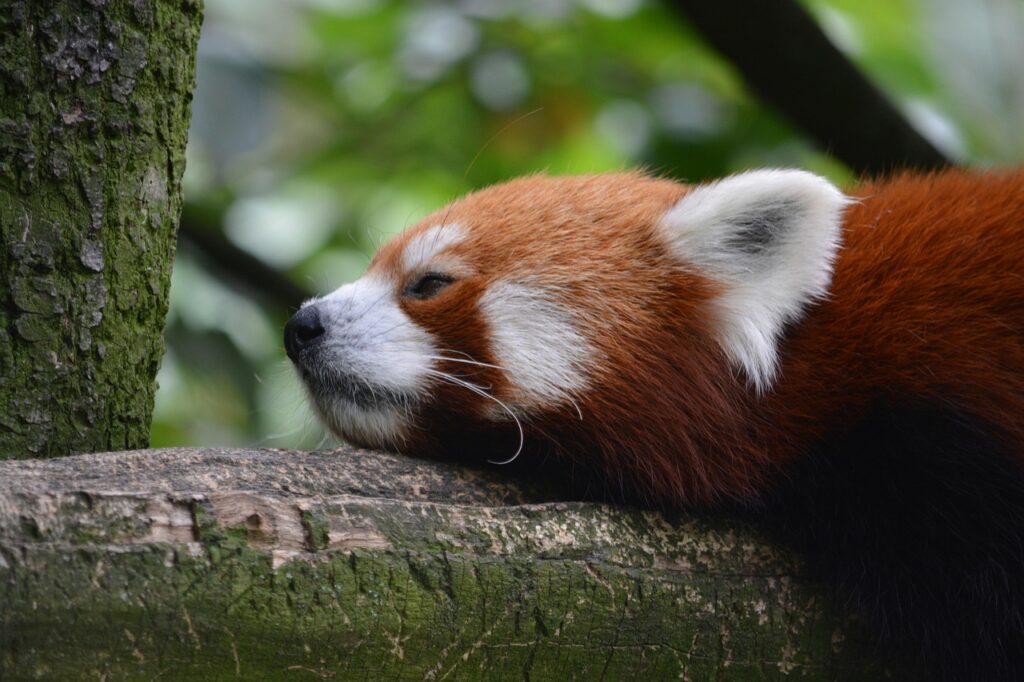 在宅ワークでの夏の暑さ対策はどうすれば快適作業ができる？